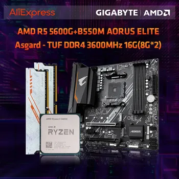 Материнская плата GIGABYTE B550M AORUS ELITE + процессор AMD Ryzen 5 5600G + Asgard TUF DDR4 3600 МГц 8 ГБ * 2 M.2 Комплект материнских плат с чипами AMD B550